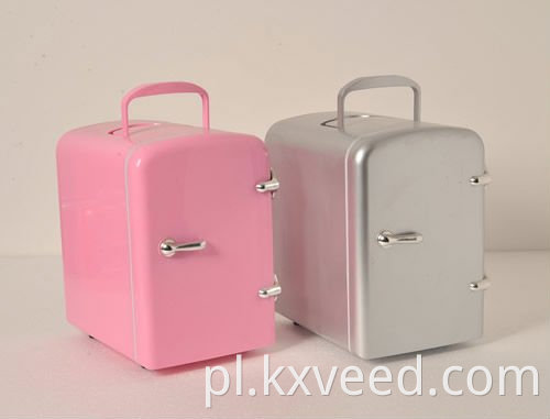 12V 110V-220V mini lodówka lodówka termoelektryczna chłodnica i cieplejsza lodówka 4L chłodnicy